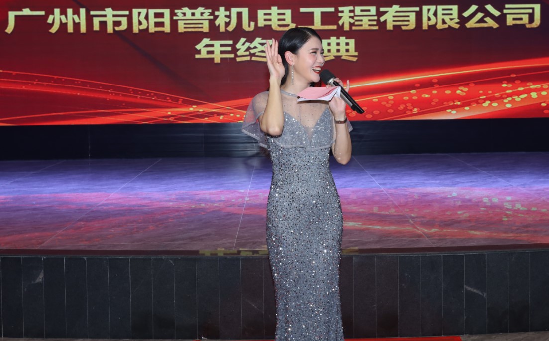 广州阳普2021年终总结交流会